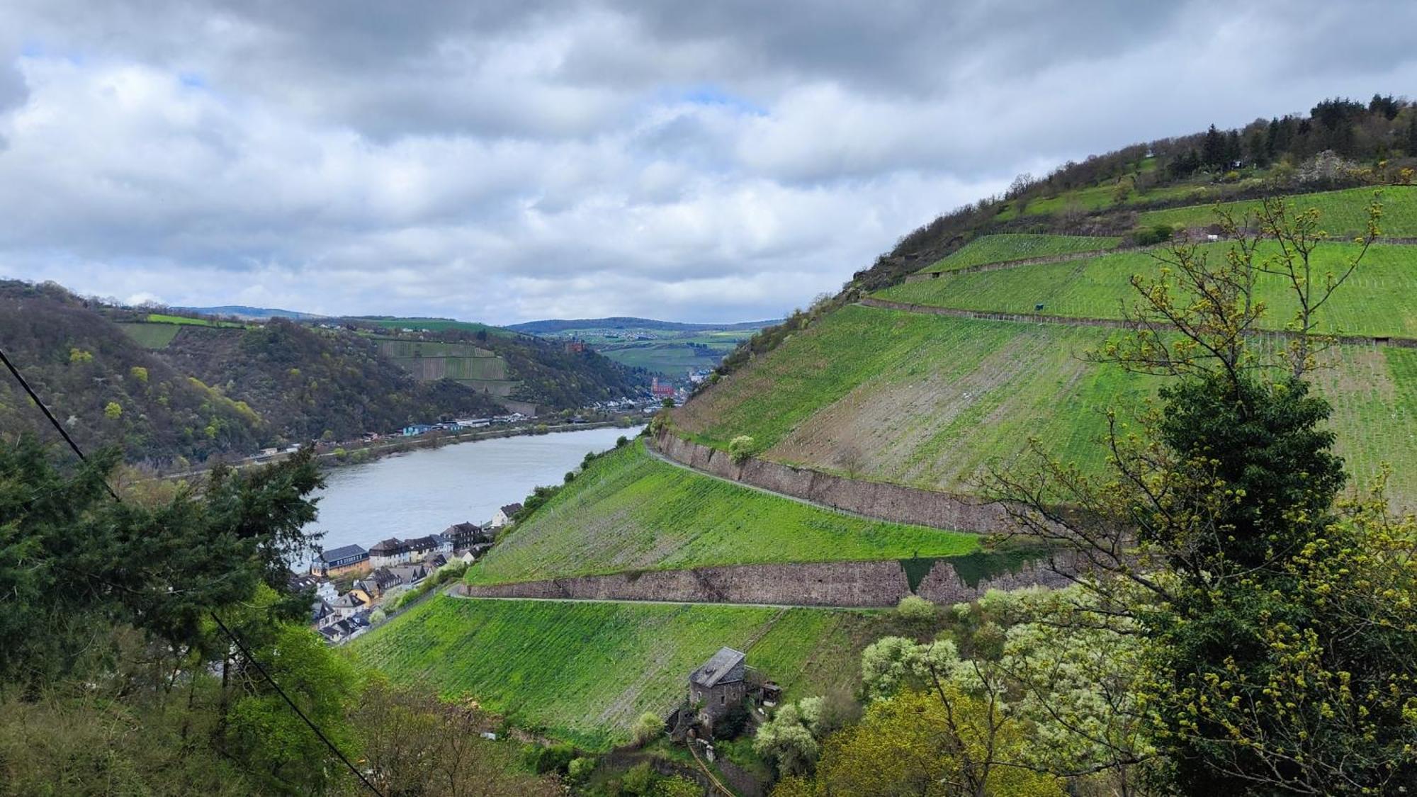 Direkt Am Rhein Mit Burgblick Nahe Rheinsteig Bis 8 Personen, 2 Baeder, 4 Zimmer, Kueche, Netflix Kaub Exterior foto